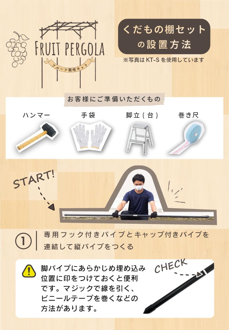 Amazon | DAIM ぶどう棚 パーゴラ 果物棚セット 藤棚 キウイ棚 幅180